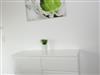 Bild 36