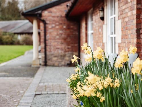 Cottage - 4 persons -  - SY5 7JZ - Dorrington