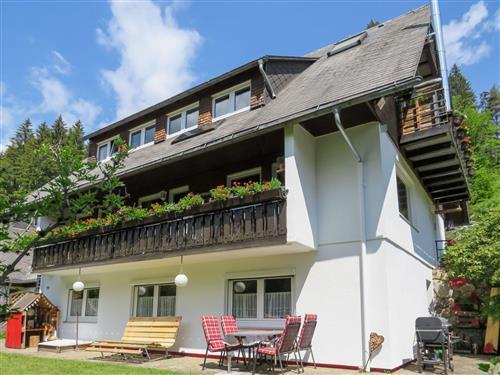 Sommerhus - 4 personer -  - Hinterzarten - 79856