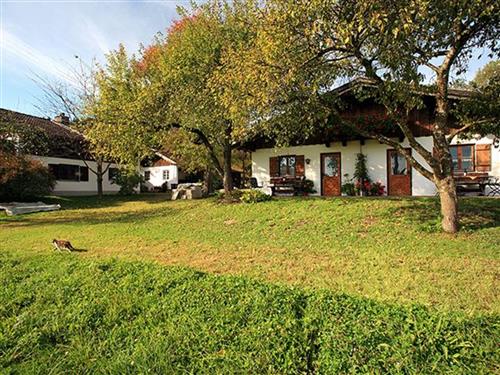 Ferienhaus - 4 Personen -  - Burgham - 83358 - Seeon-Seebruck