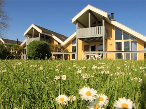 Feriehus - 6 personer -  - Am Hafendorf - 17248 - Rechlin-Nord