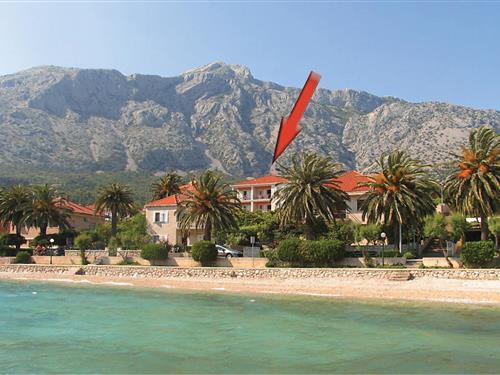 Holiday Home/Apartment - 2 persons -  - Od Blaca - Peljesac-Orebic - 20250 - Orebic