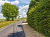 Afbeelding 30
