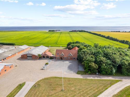 Sommerhus - 10 personer -  - Søndervig Landevej - Holmsland - 6950 - Ringkøbing