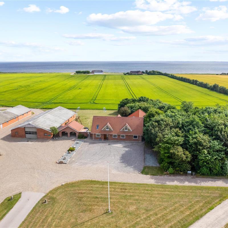 Sommerhus - 10 personer -  - Søndervig Landevej - Holmsland - 6950 - Ringkøbing