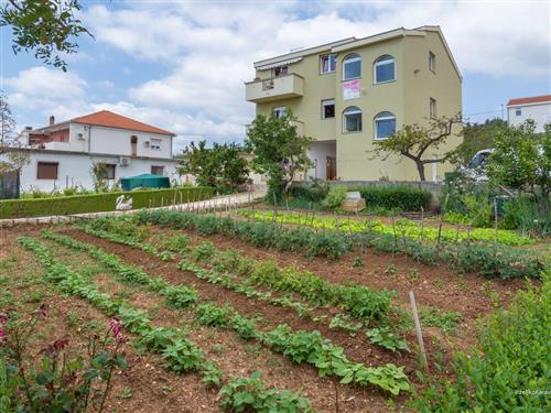 Holiday apartment - 2 persons -  - Nikice Gundulica - 23242 - Posedarje