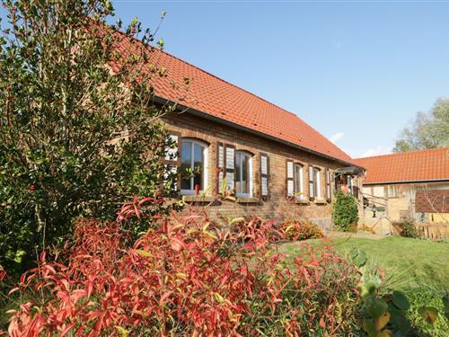 Holiday home - 8 persons -  - Dorfstraße - 17209 - Buchholz Bei Röbel