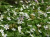 Bild 17