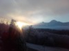 Bild 40