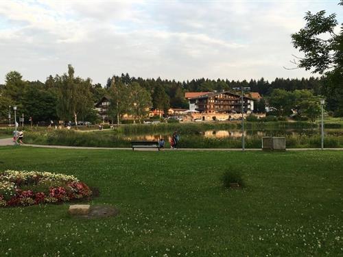 Feriehus - 5 personer -  - 38644 - Hahnenklee