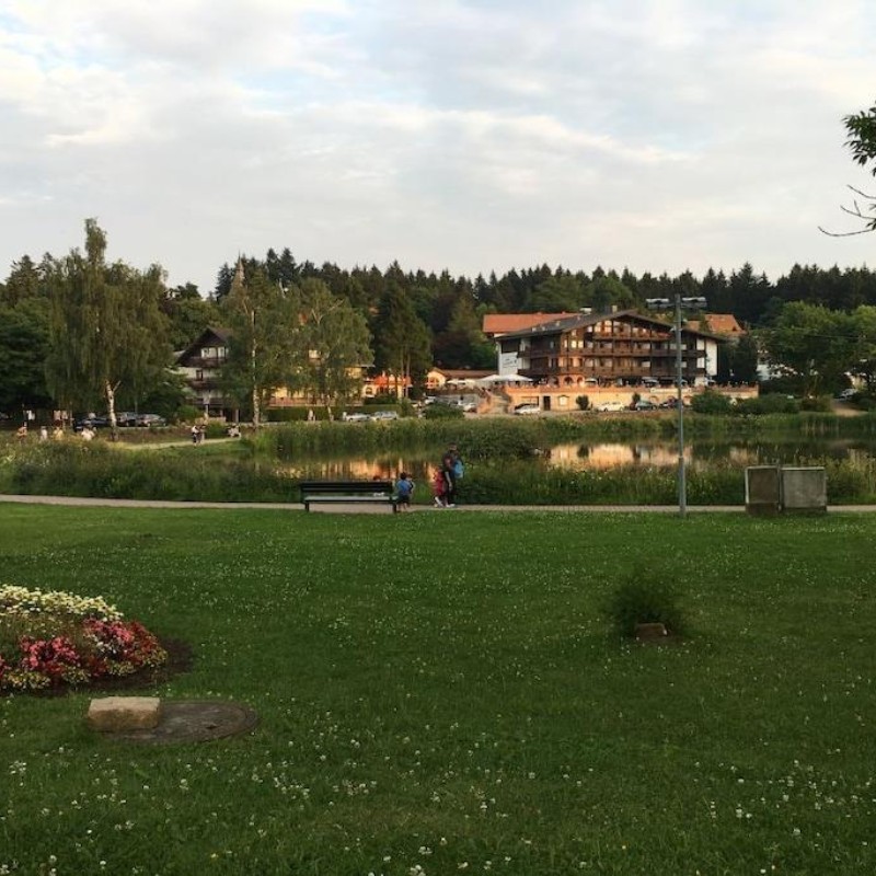 Sommerhus - 5 personer -  - 38644 - Hahnenklee