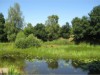 Bild 21