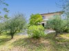 Image 33 - Outside