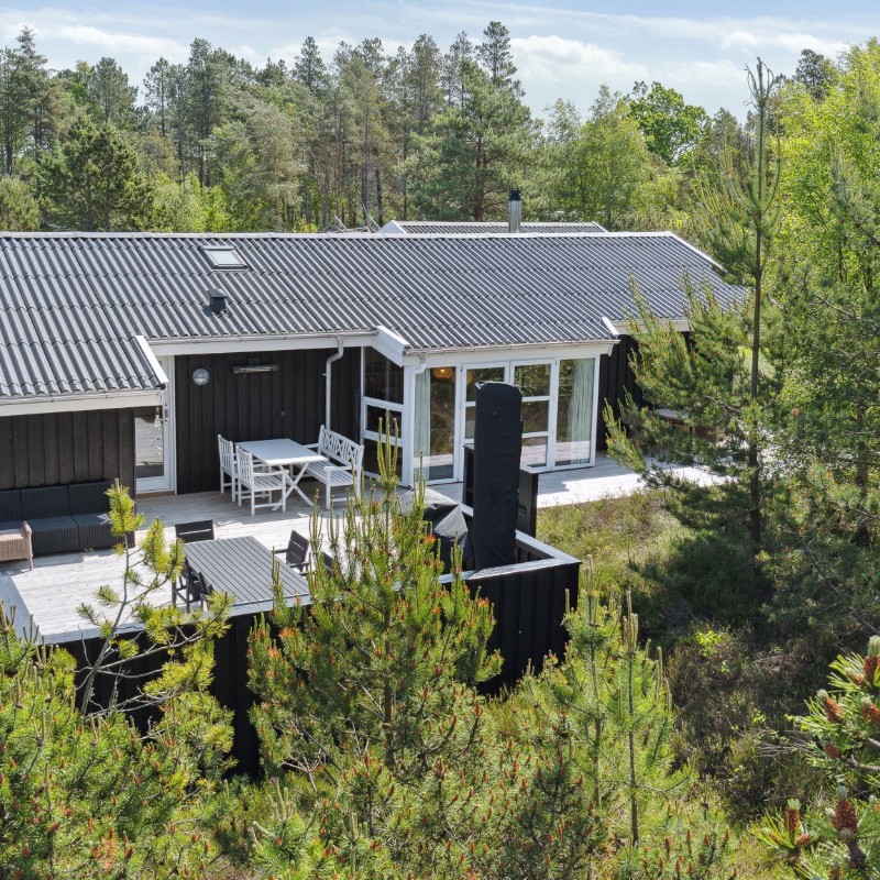 Ferienhaus - 6 Personen -  - Musvågevej - Raabjerg - 9982