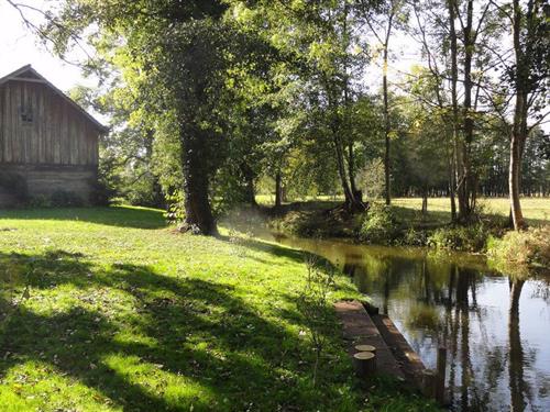 Ferielejlighed - 6 personer -  - Ringchaussee - 03096 - Burg (Spreewald)