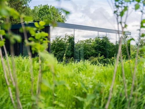 Sommerhus - 2 personer -  - Schleiden - 53937