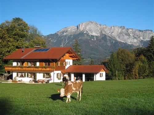 Feriehus / leilighet - 3 personer -  - Auer Straße - 83471 - Berchtesgaden