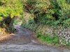 Image 20 - Outside