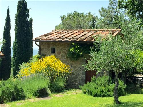 Ferielejlighed - 2 personer -  - Loro Ciuffenna - 52024