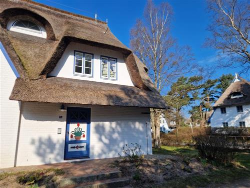 Ferielejlighed - 2 personer -  - Achtern Diek - 18374 - Ostseebad Zingst A Darß