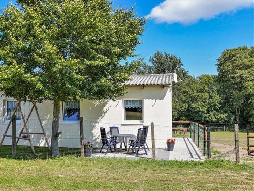 Bauernhof - 5 Personen -  - Tränke - 06493 - Harzgerode / Dankerode