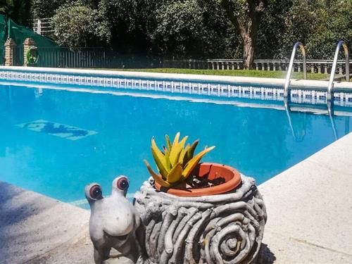 Holiday home - 7 persons -  - Calle Tamarindo - Cordoba - 14610 - Alcolea