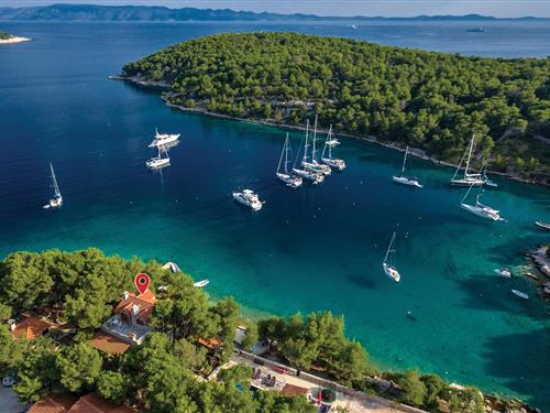 Holiday home - 10 persons -  - Smrceva - Brac-Milna - 21405 - Milna