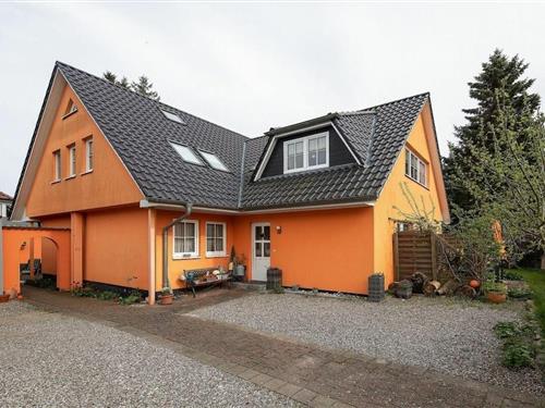 Sommerhus - 3 personer -  - 1837 - Zingst