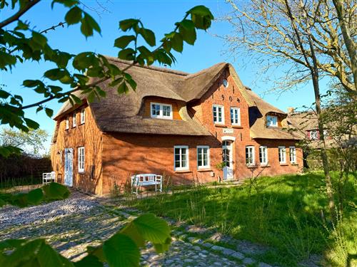 Ferieleilighet - 3 personer -  - Klein Dunsum - 25938 - Dunsum