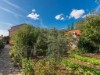 Bilde 3