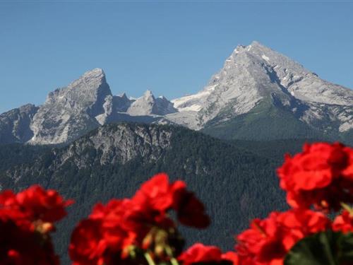 Sommerhus - 3 personer -  - 83483 - Bischofswiesen