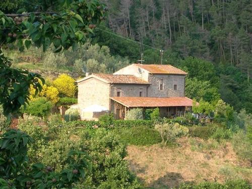 Fritidshus - 6 personer -  - Vinci - 51035