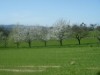 Bild 17