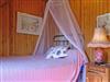 Bild 10 - Inde