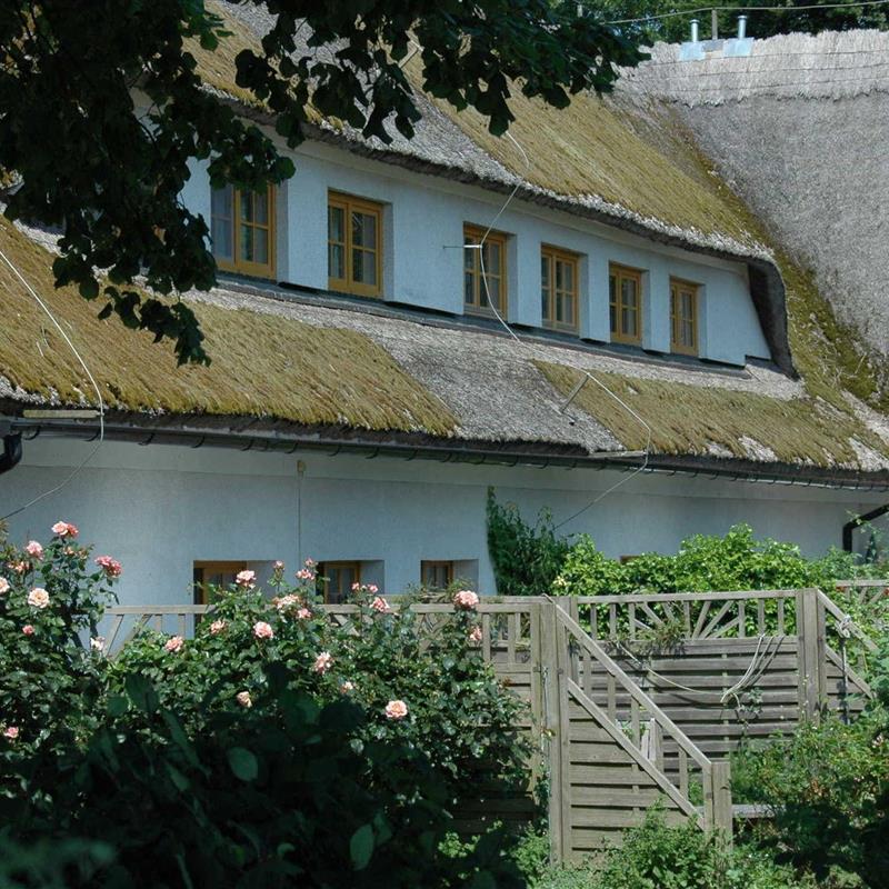 Ferielejlighed - 3 personer -  - Alt Reddevitz - 18586 - Mönchgut