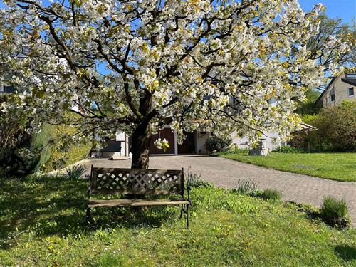 Ferielejlighed - 2 personer -  - Mühlhofen - 88690