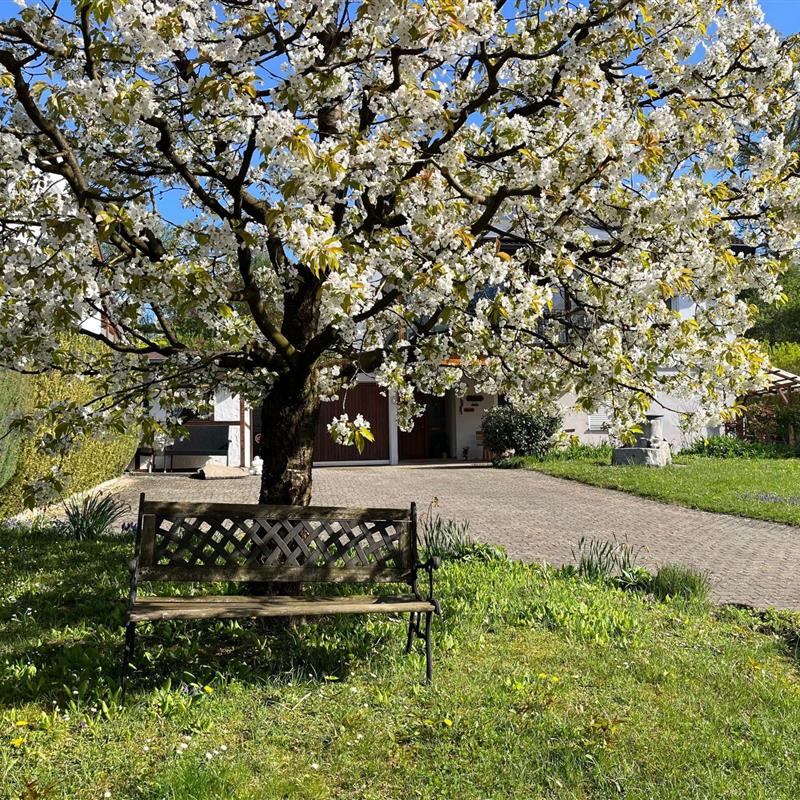 Ferielejlighed - 2 personer -  - Mühlhofen - 88690