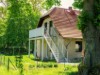 Bild 12