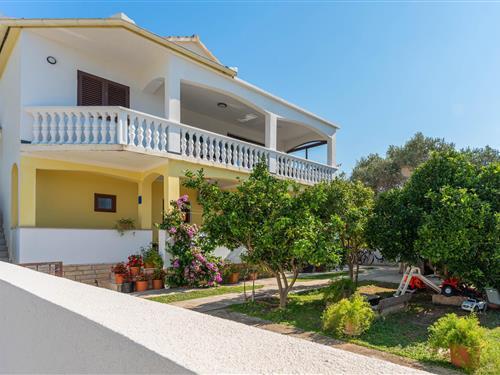 Ferienhaus - 5 Personen -  - Barolistine - Zadar-Bibinje - 23205 - Bibinje