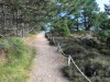 Bilde 36 - Område