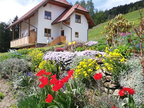 Holiday Home/Apartment - 5 persons -  - Lärchberg - 8850 - Murau