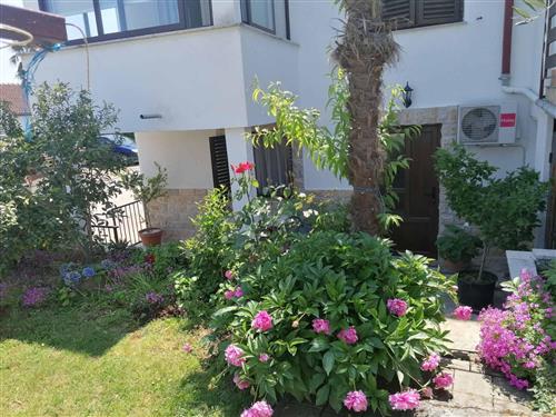 Holiday Home/Apartment - 2 persons -  - Dajla - 52466 - Dajla