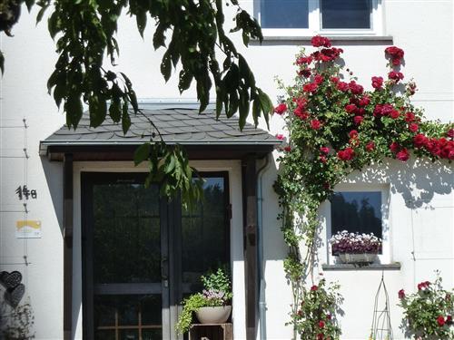 Ferienwohnung - 4 Personen -  - Hillesheimer Str. - 54597 - Duppach