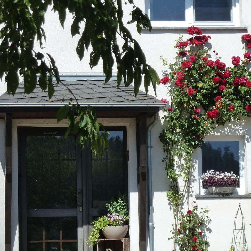 Ferielejlighed - 4 personer -  - Hillesheimer Str. - 54597 - Duppach