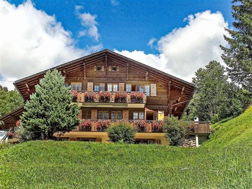 Ferienhaus - 2 Personen -  - Grindelwald - 3818