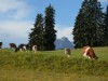 Bild 22 - Ude