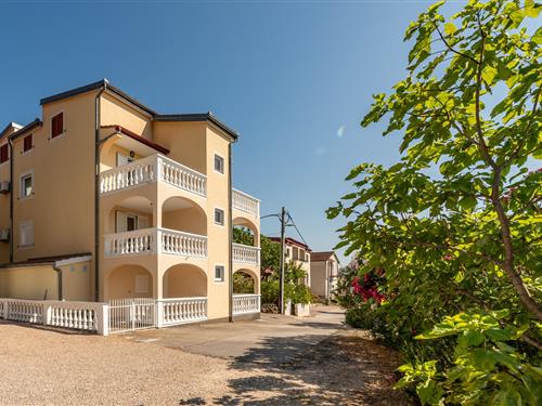 Ferieleilighet - 4 personer -  - Ulica dok. Franje Tudmana - Starigrad Paklenica-Seline - 23244 - Seline