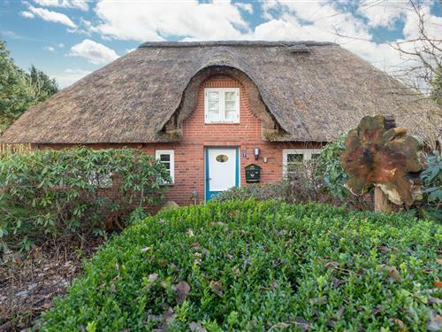 Feriehus - 6 personer -  - Dörpsstraat - 25821 - Almdorf