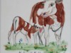 Bild 32