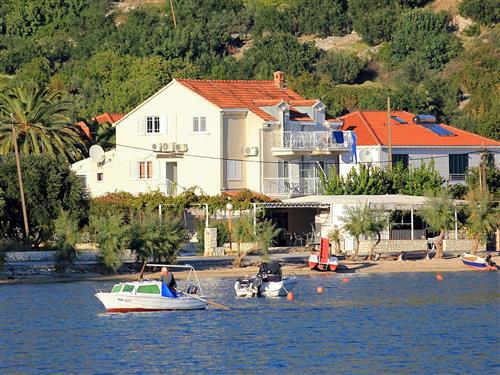 Ferielejlighed - 4 personer -  - Put Grgurica - 20232 - Slano